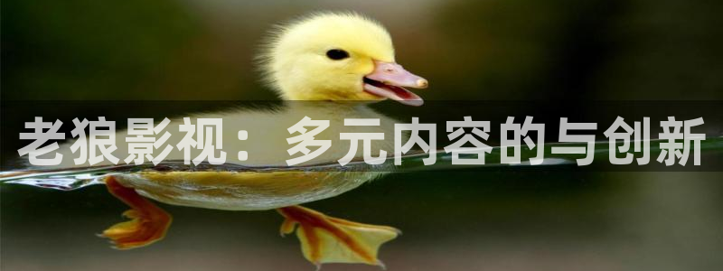 四虎好看影院：老狼影视：多元内容的与创新
