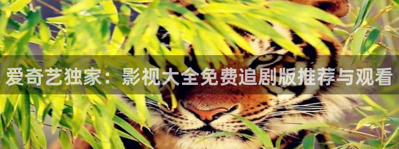 四虎好看影院